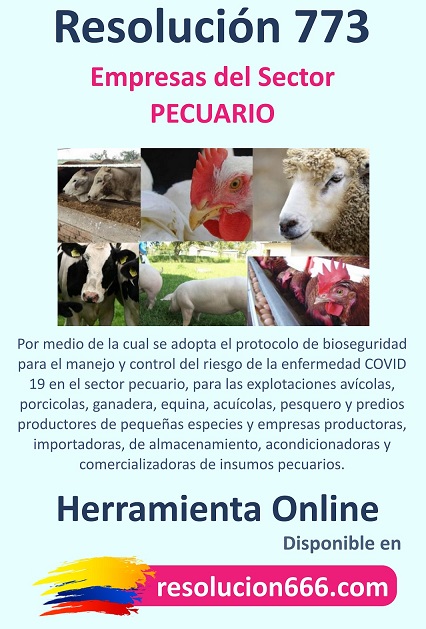 resolucion666_whatsapp_ad_773_thumb.jpg